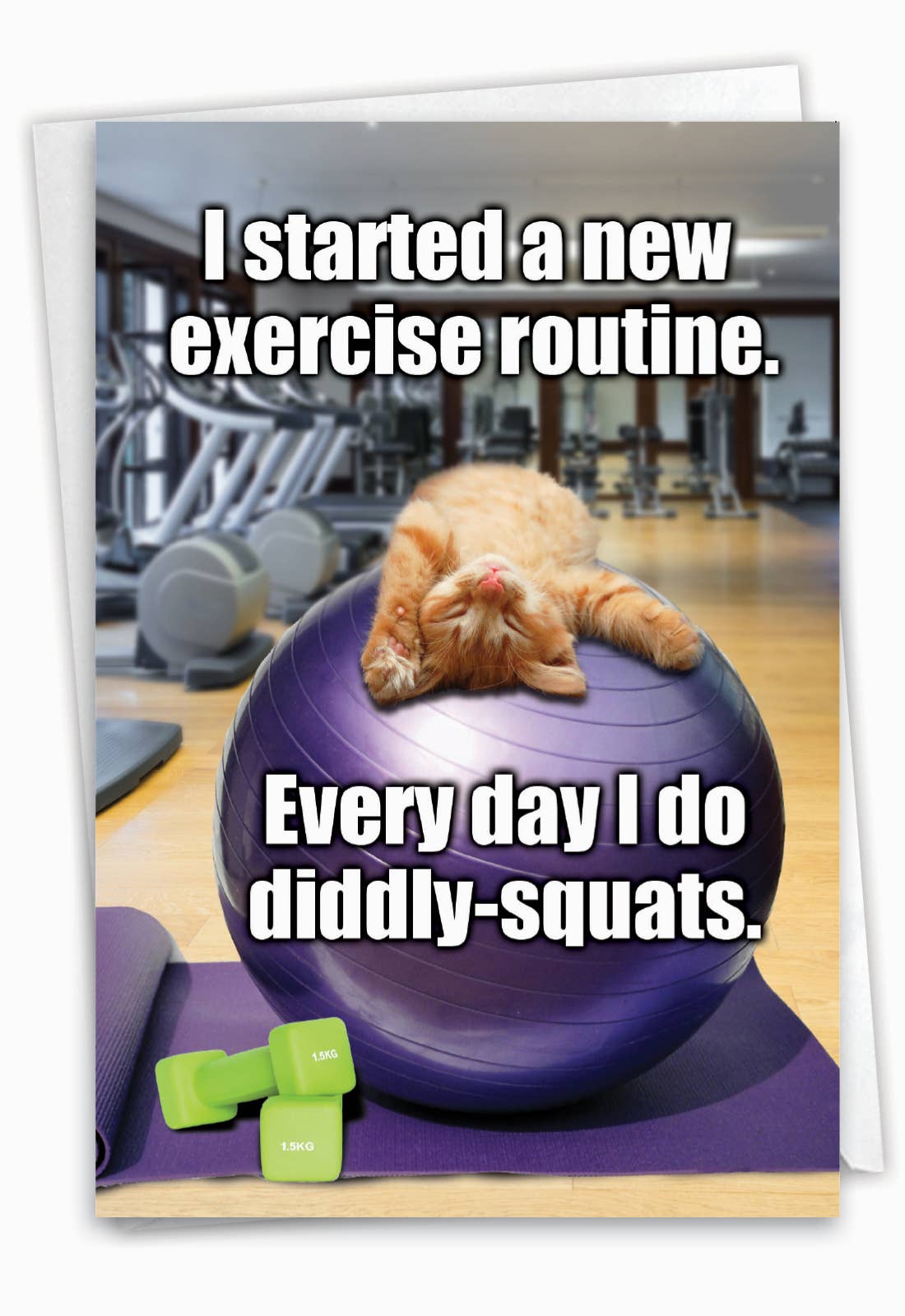 Birthday Card - Diddly Squats