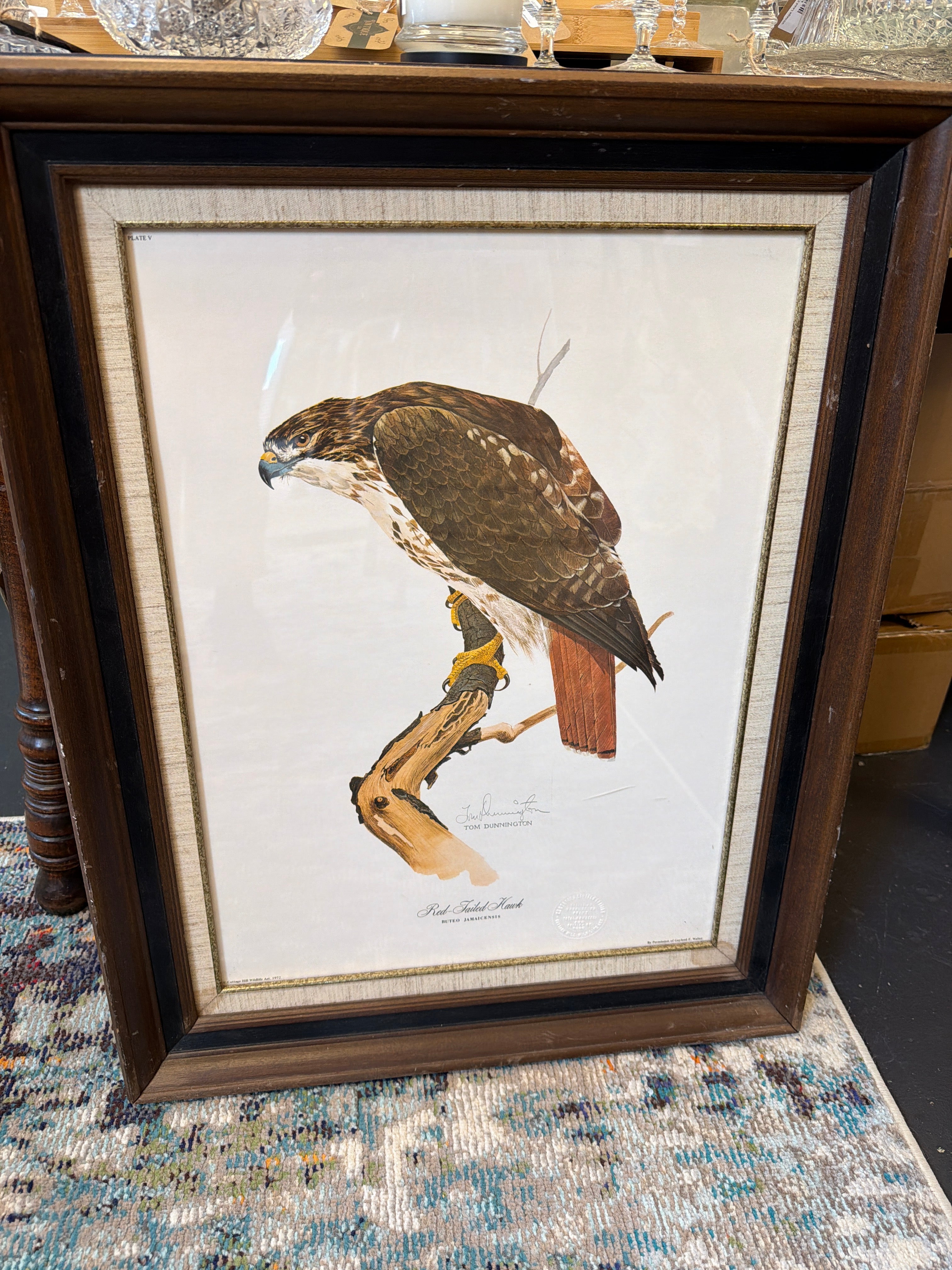 Red Tailed Hawk- Tom Dunnington