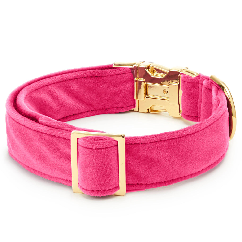 Hot Pink Velvet Dog Collar: L / Gold