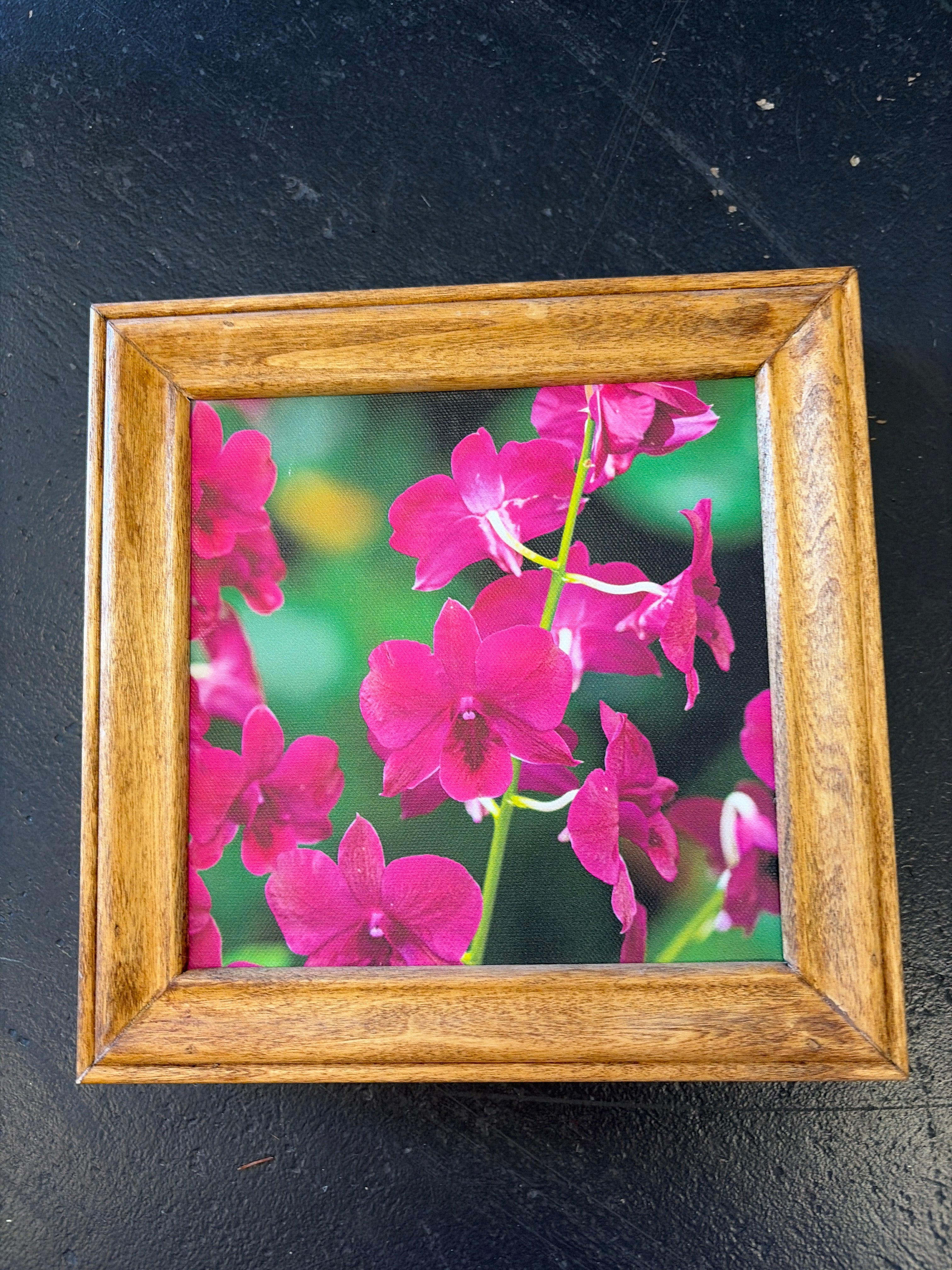 Small original photography flowers framed