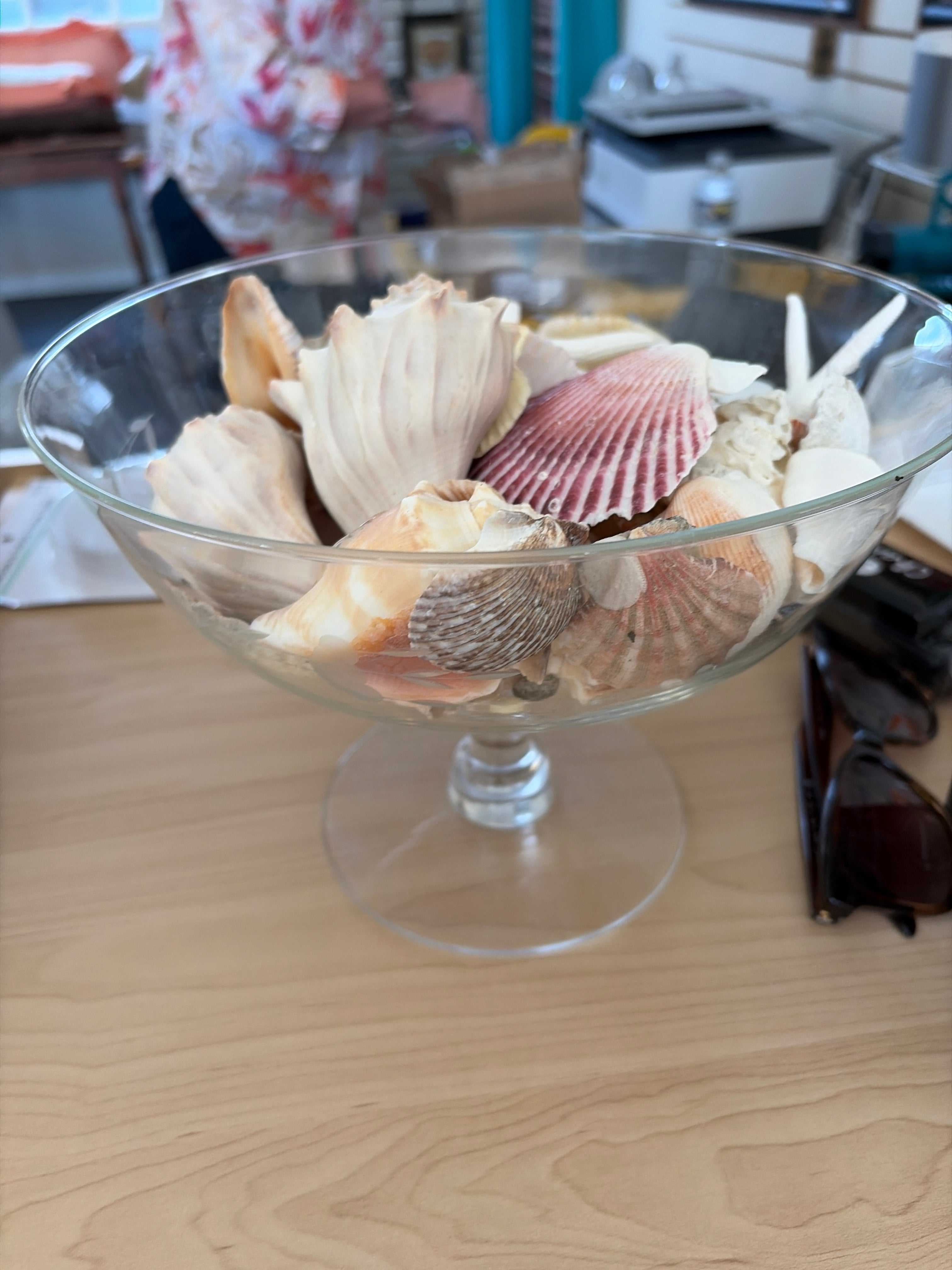 Multiple Shells $1 Each