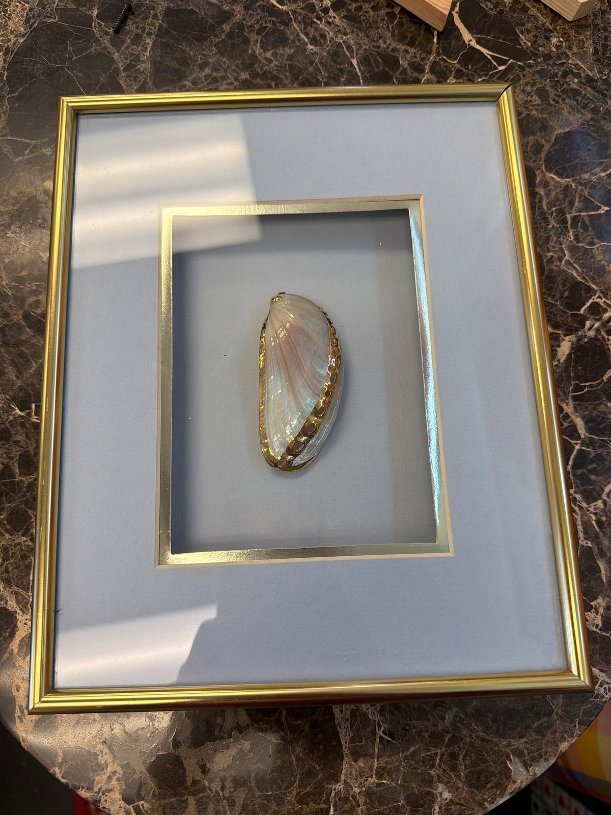 Shell Shadowbox