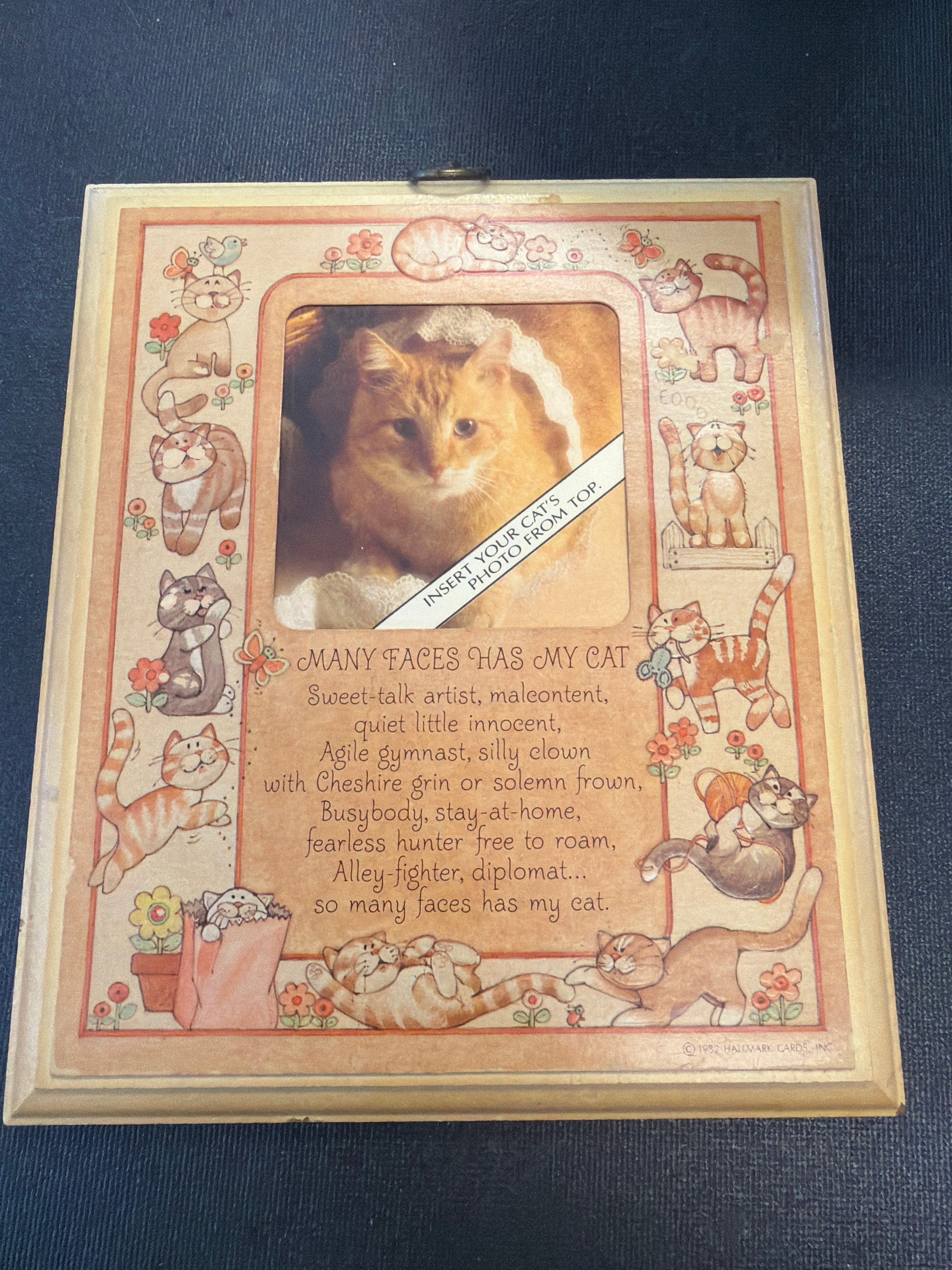 Many Faces Cat Frame