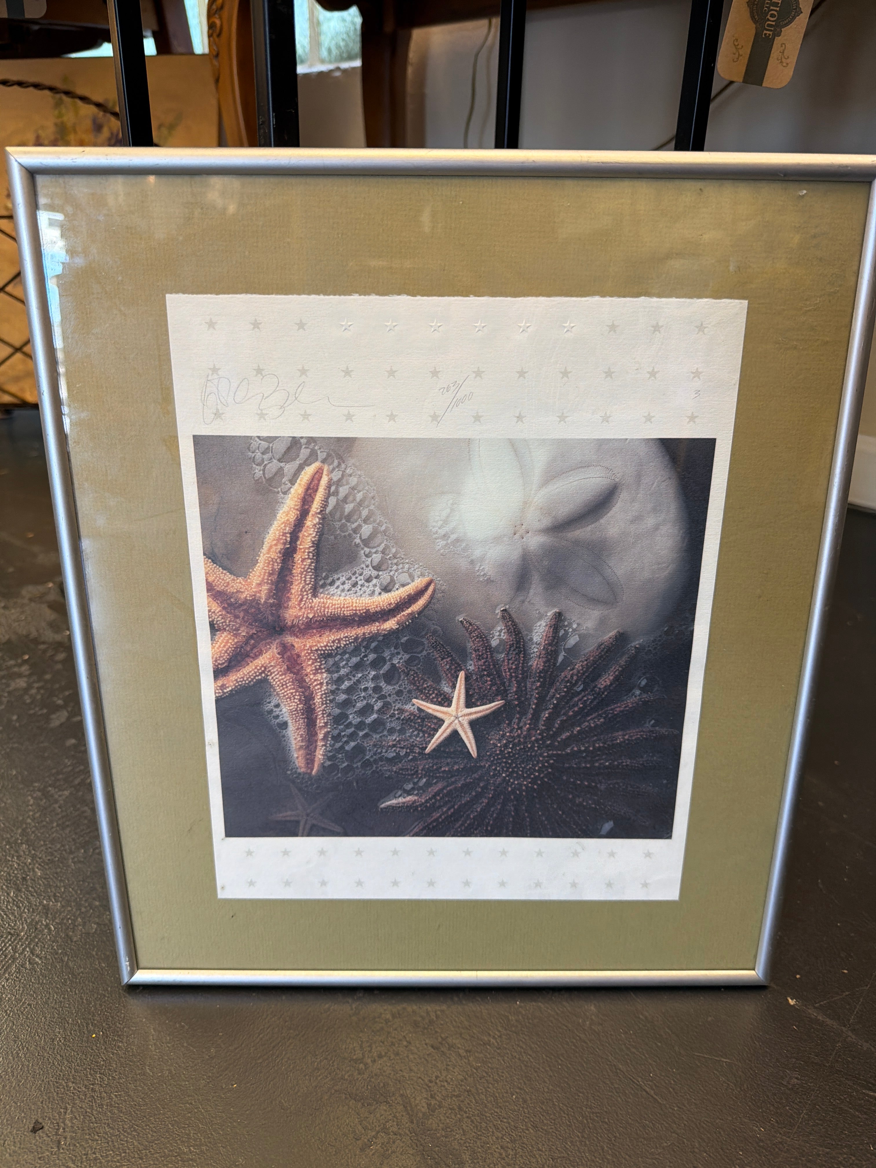 Starfish 263/1000