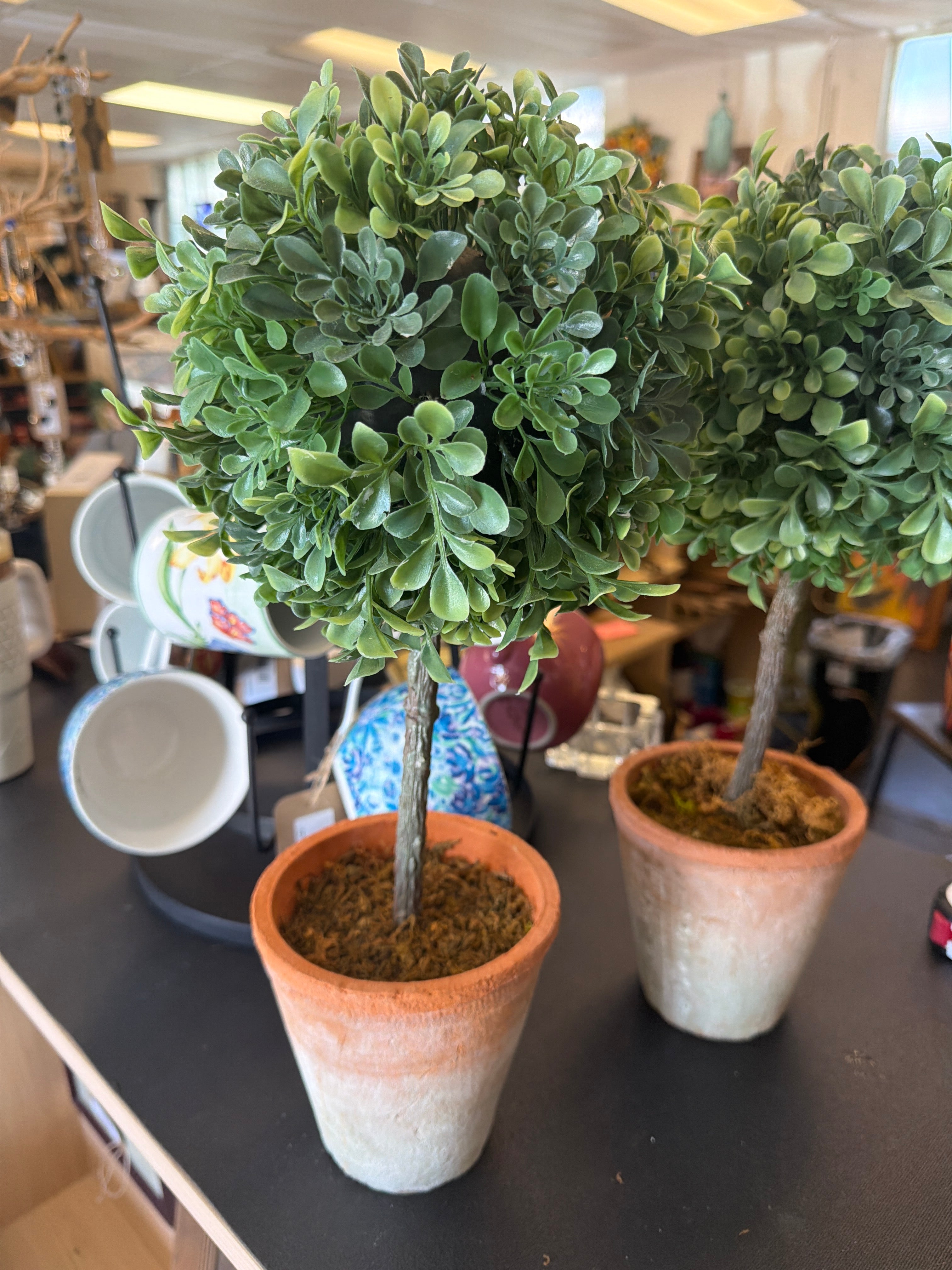 Topiary