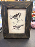 Two Birds