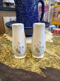 Johann Haviland "Blue Garland" salt and pepper shakers