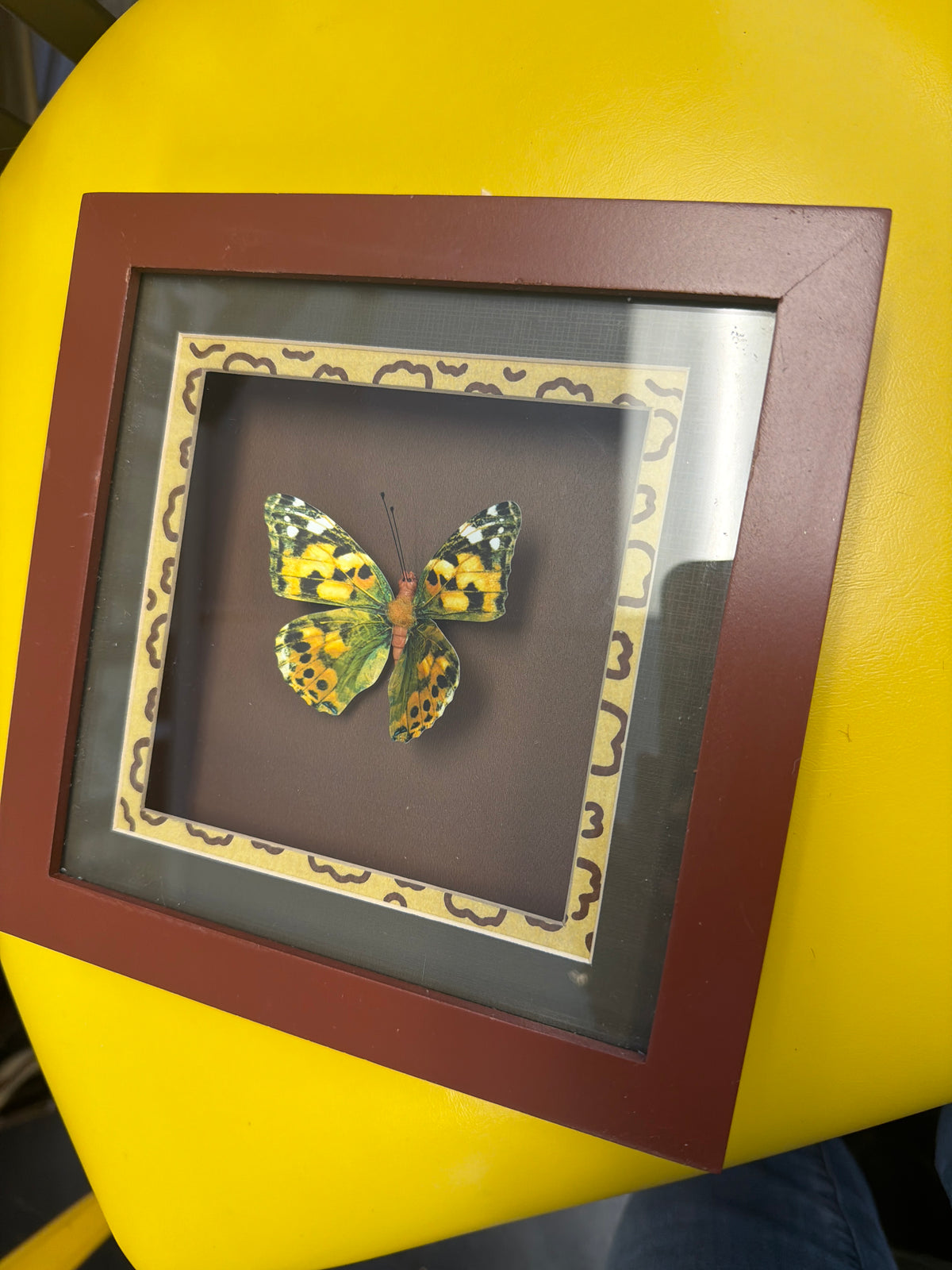 Butterfly Shadowbox