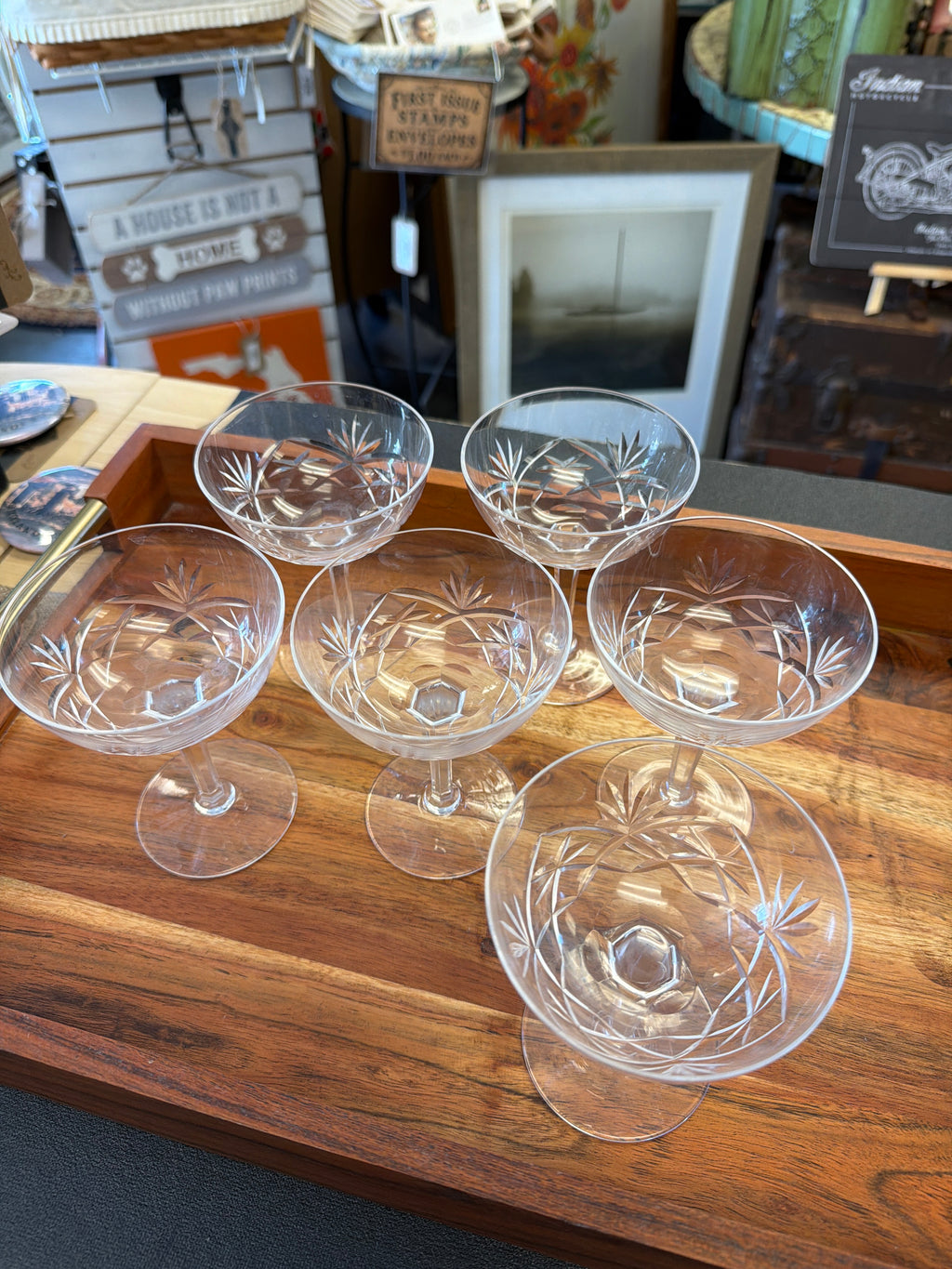 Gorham Cherrywood Champagne Coupe (6)
