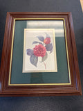 Pierre-Joseph Redouté Camellia print