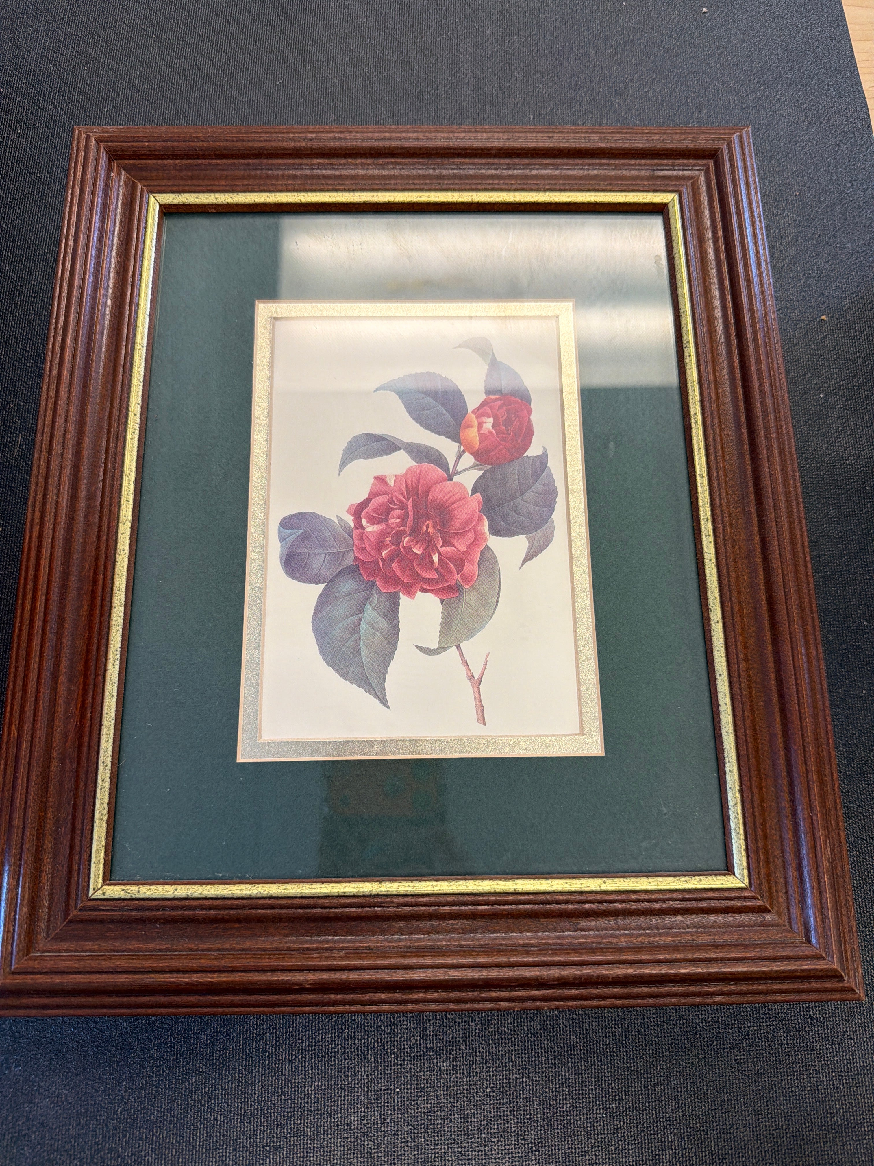 Pierre-Joseph Redouté Camellia print
