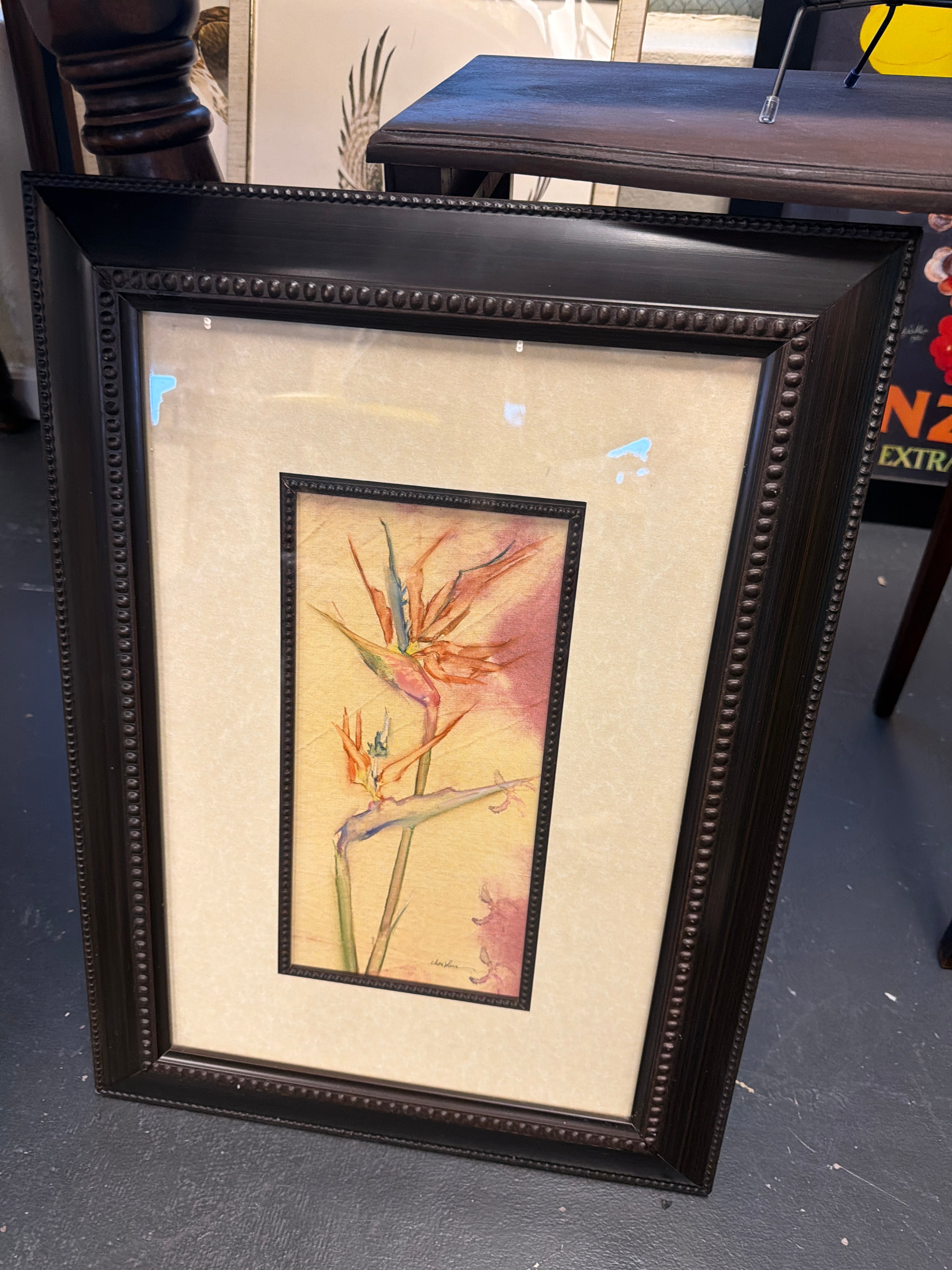 Bird of Paradise Cheri Blum