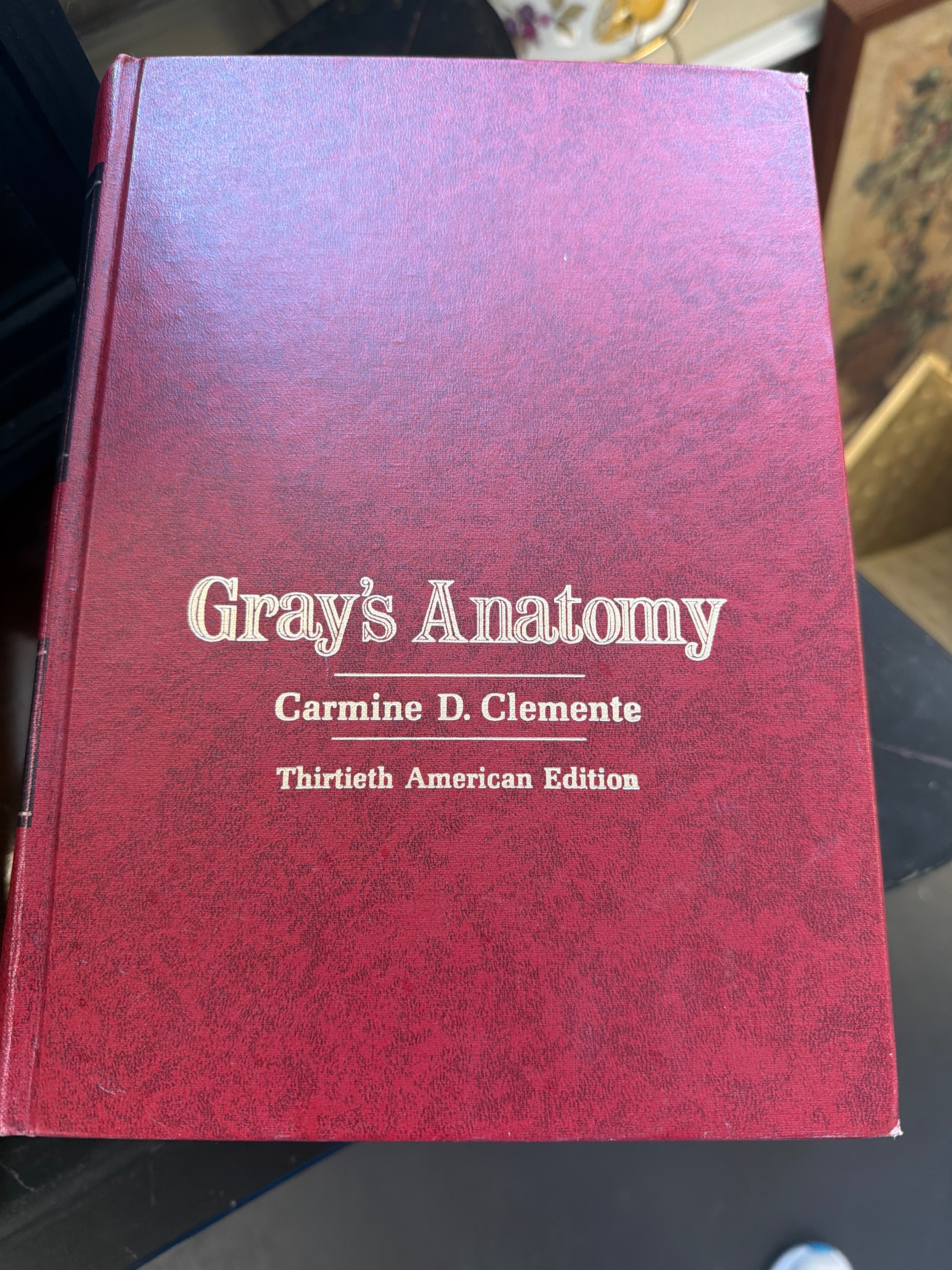 Gray’s Anatomy