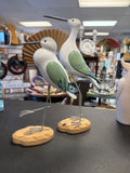 Pair of Coastal Seagulls