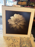 White Flower
