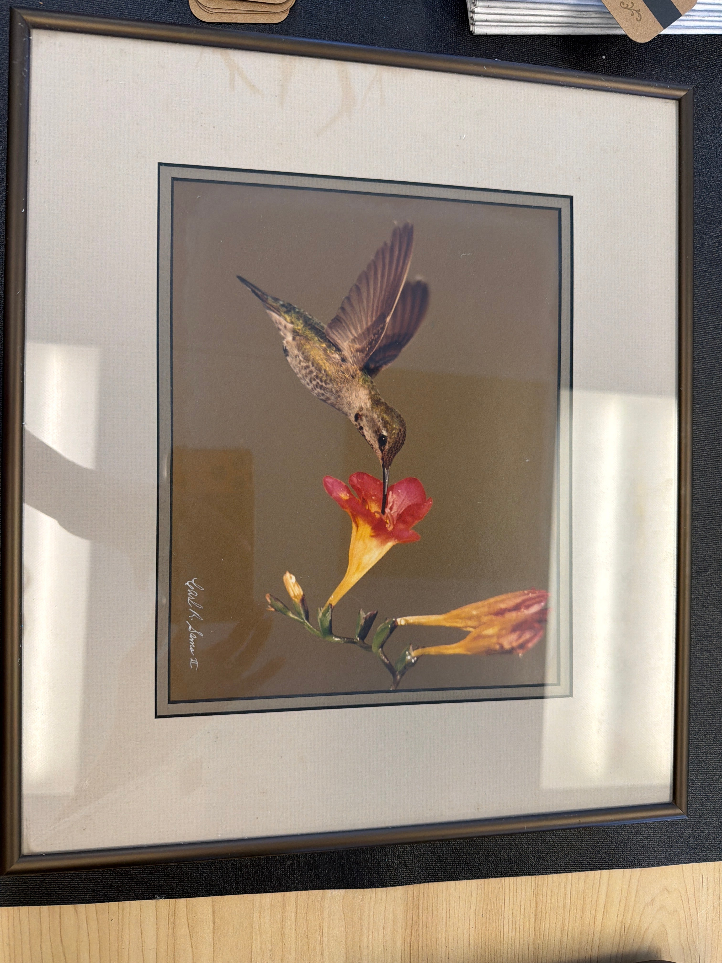 Hummingbird- Carl R. Sams II