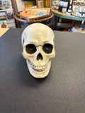 Spooky Skull Decor