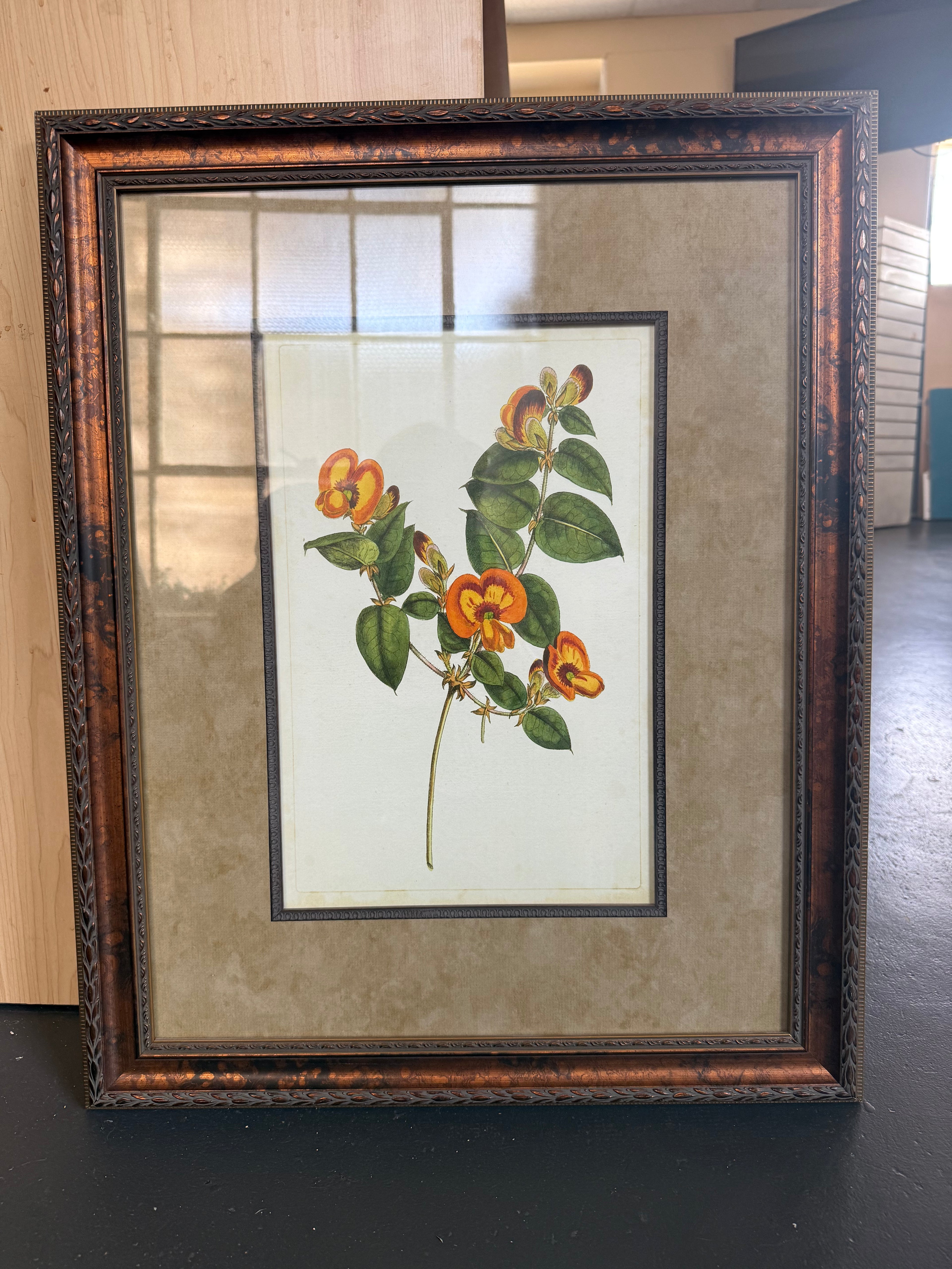Framed Wall Art