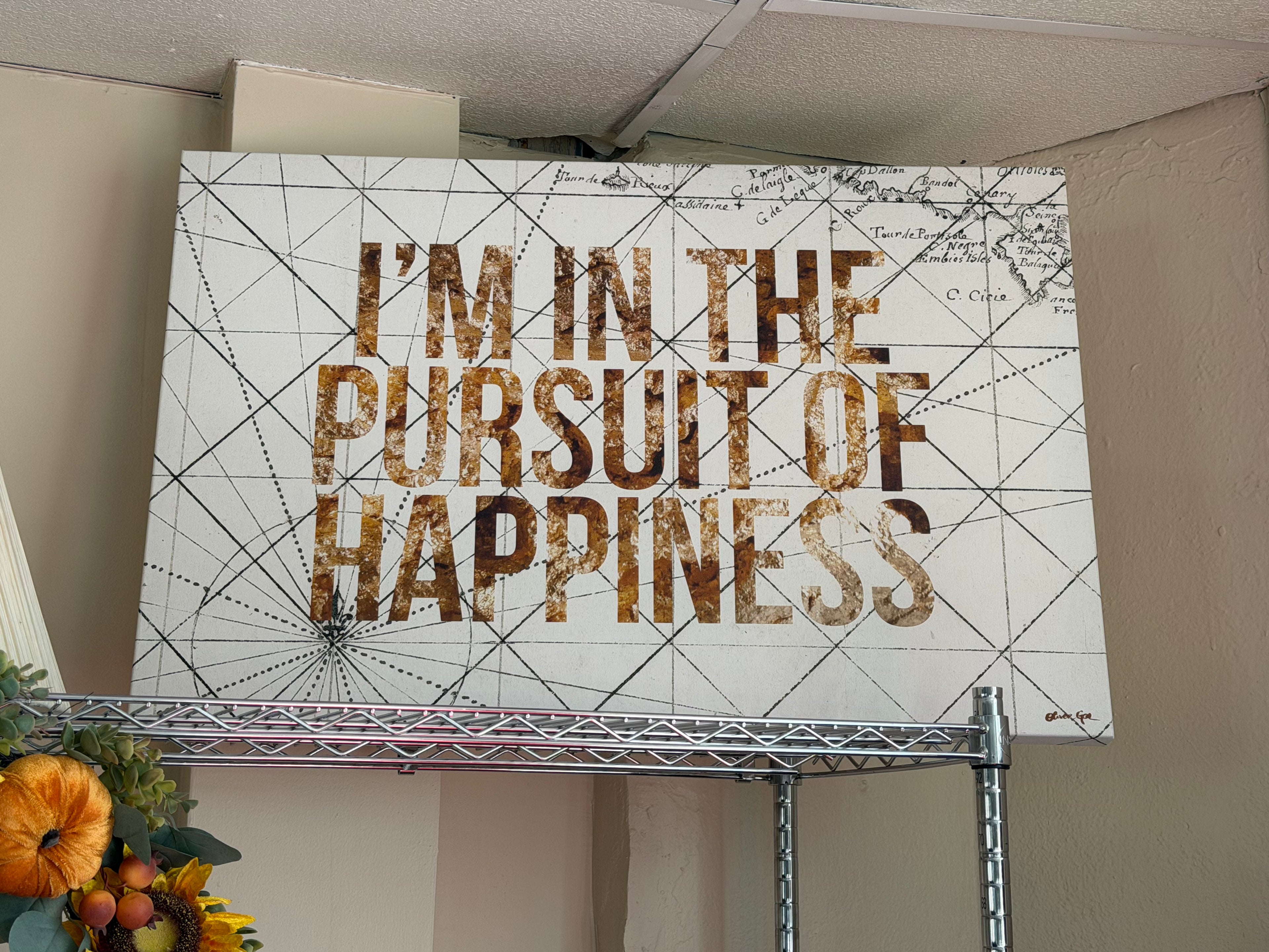 Pursuit of Happiness art