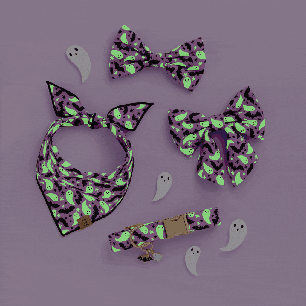 Spooky Season Reversible Dog Bandana: S - up to 13”