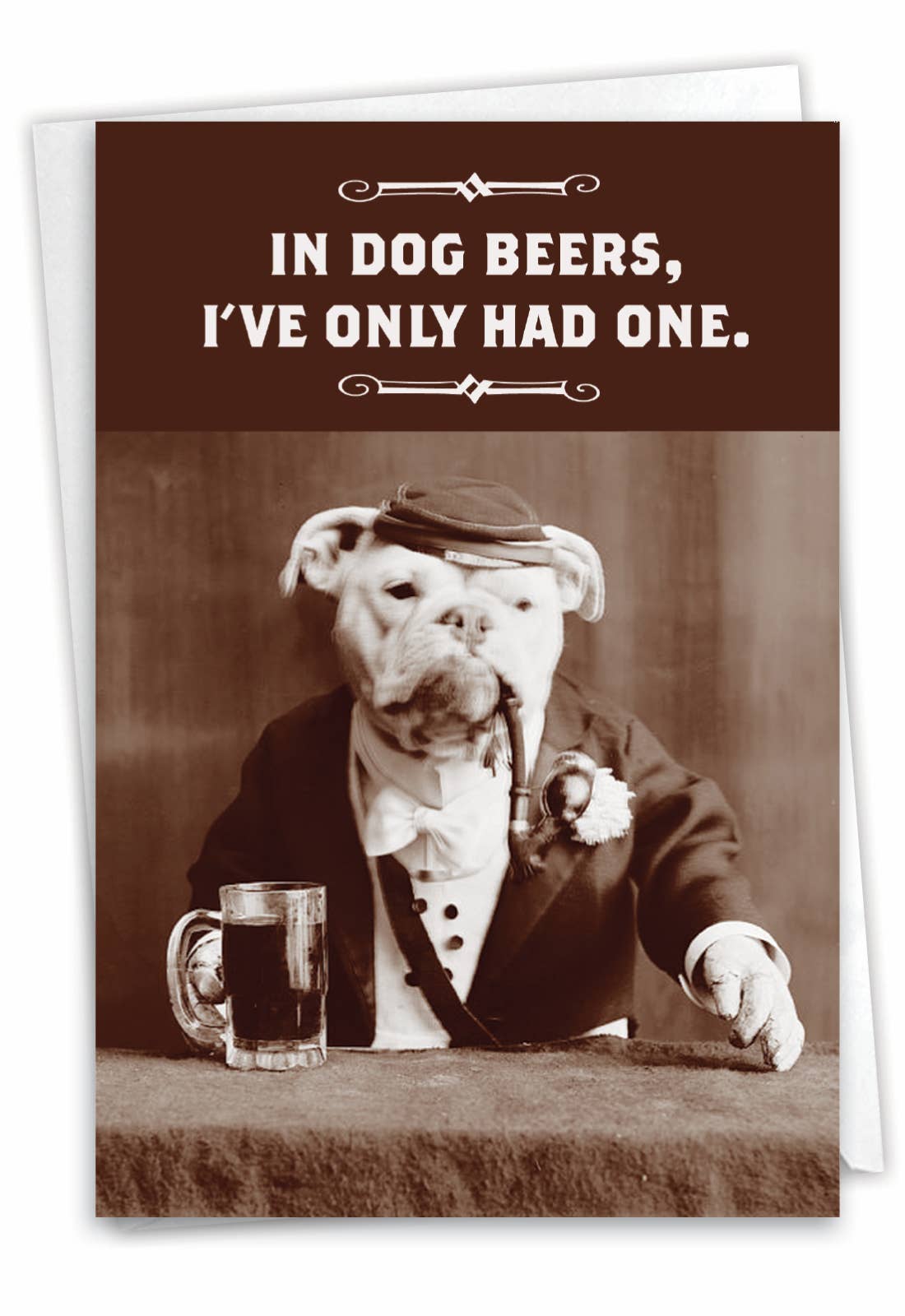 Birthday Card  - Dog Beers