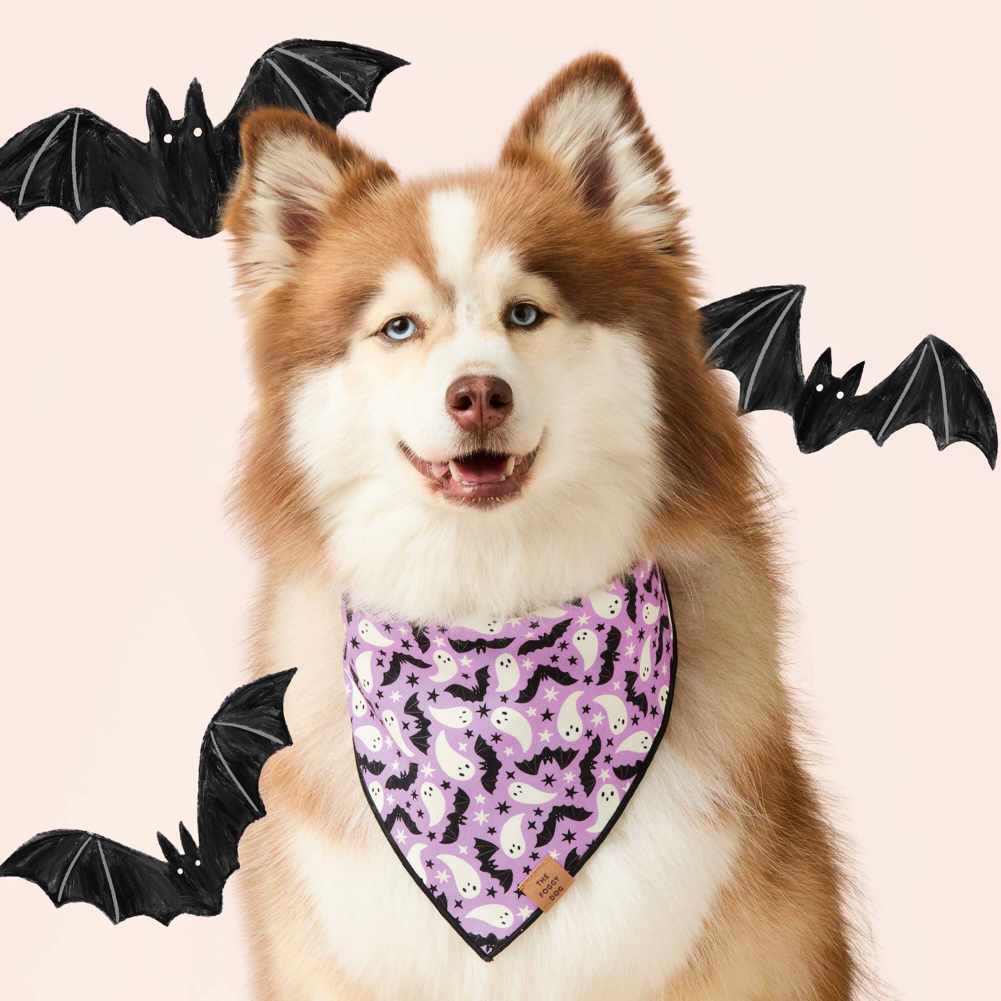 Spooky Season Reversible Dog Bandana: M - up to 18”