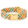 Harvest Gingham Dog Collar: XS - 8-11”
