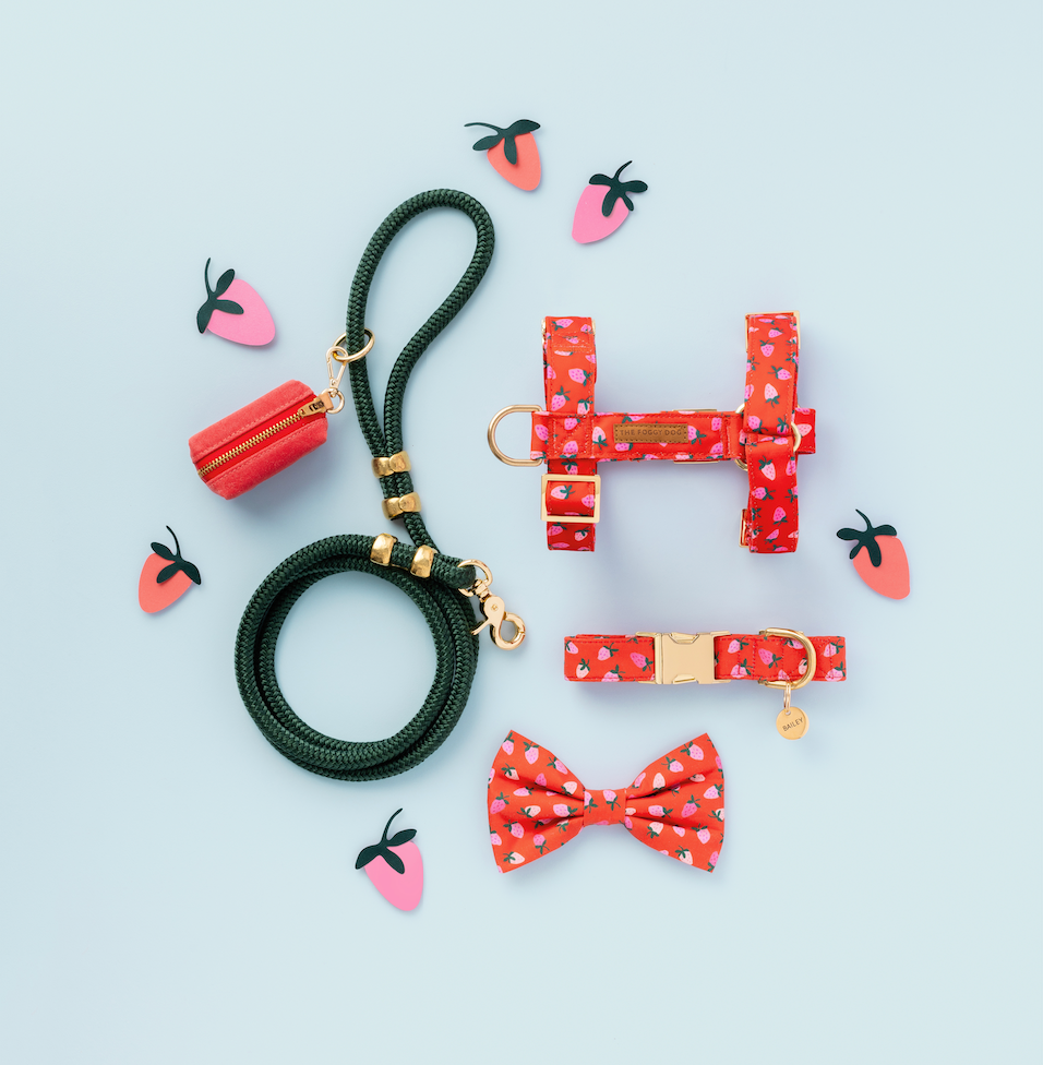 Berry Sweet Dog Collar: XS