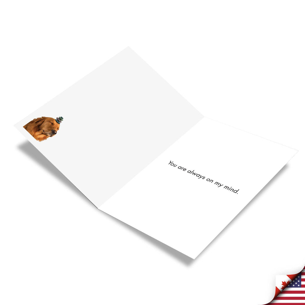 Thinking of You Card - Zen Dog