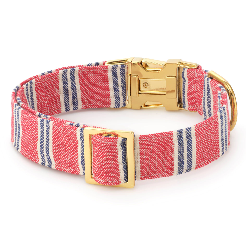 Nantucket Stripe Dog Collar: S - 11-16”