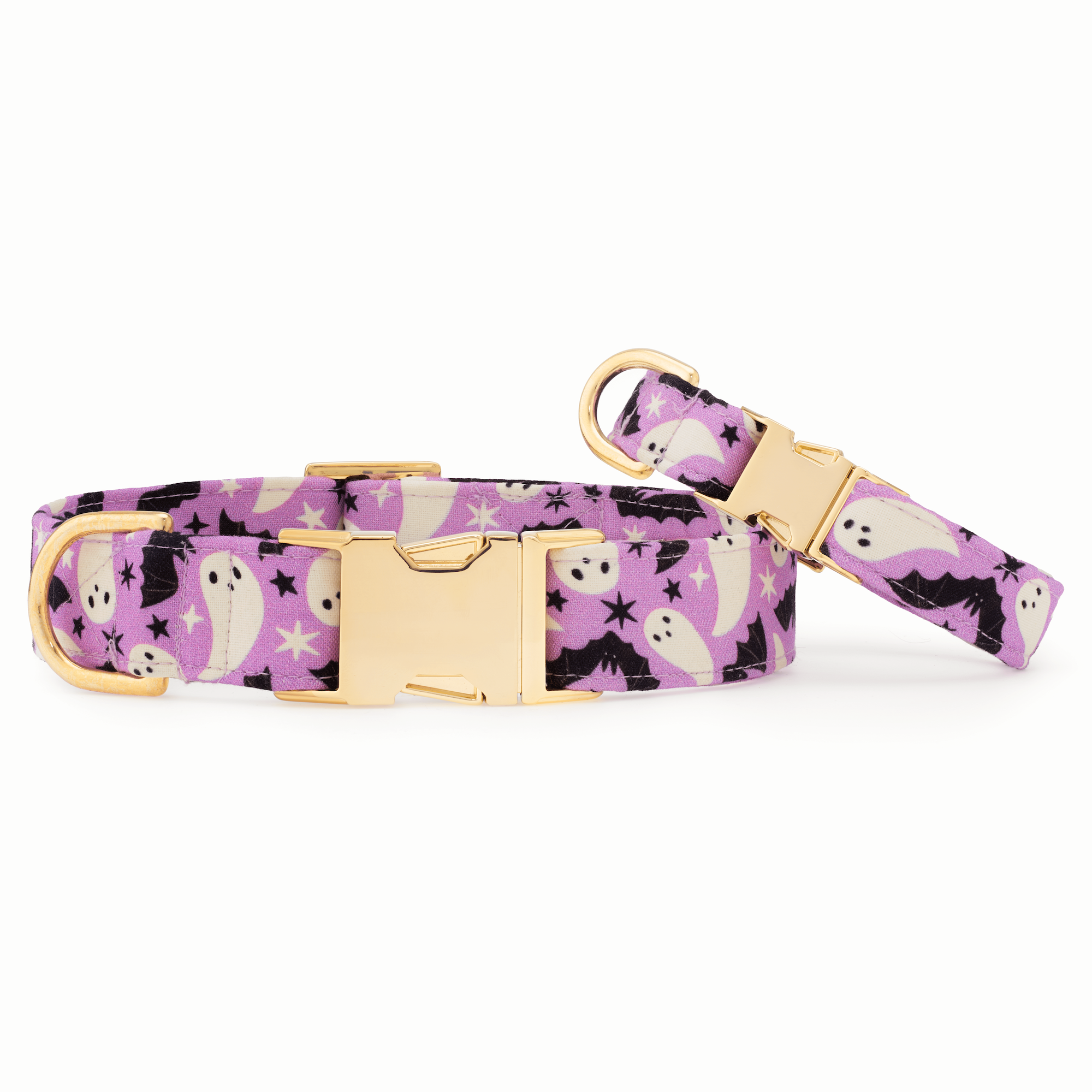 Spooky Season Glow-in-the-Dark Dog Collar: XS