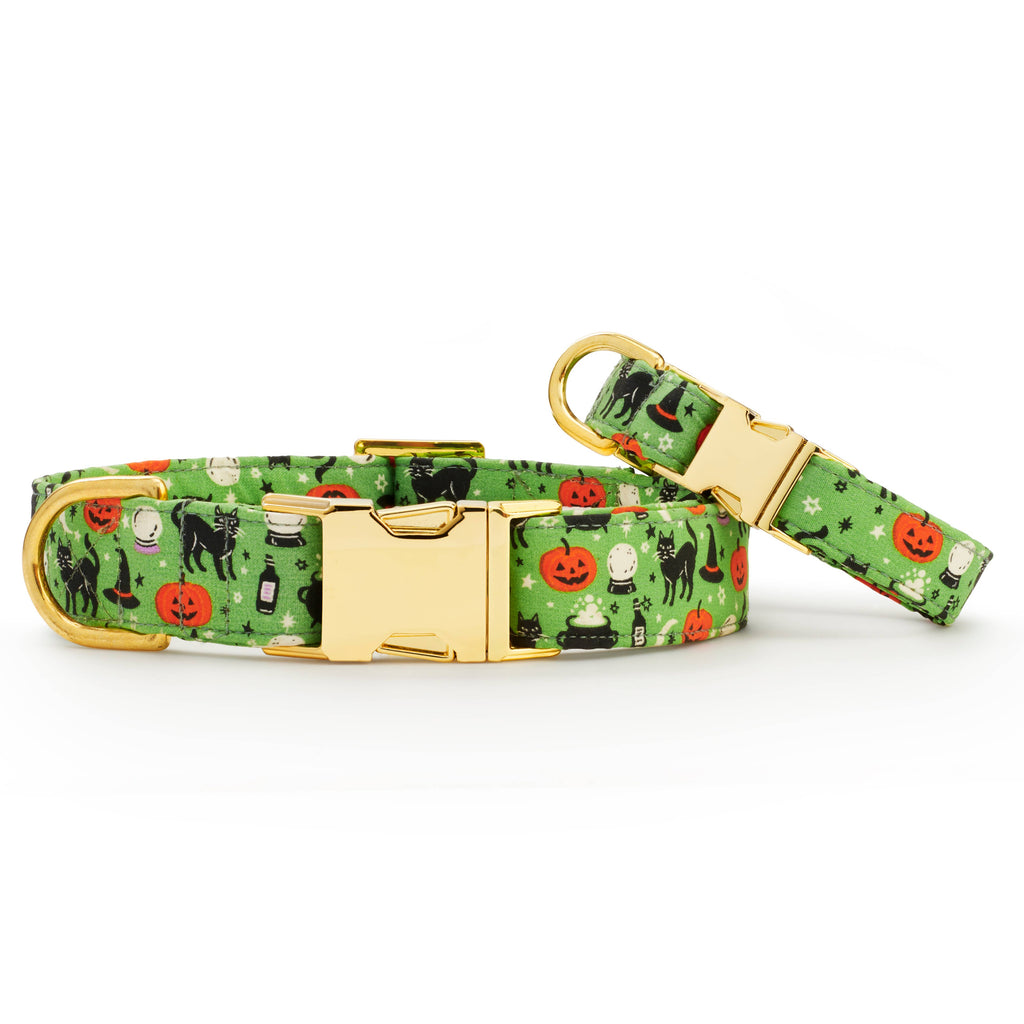 Spellbound Dog Collar: L - 18-26”