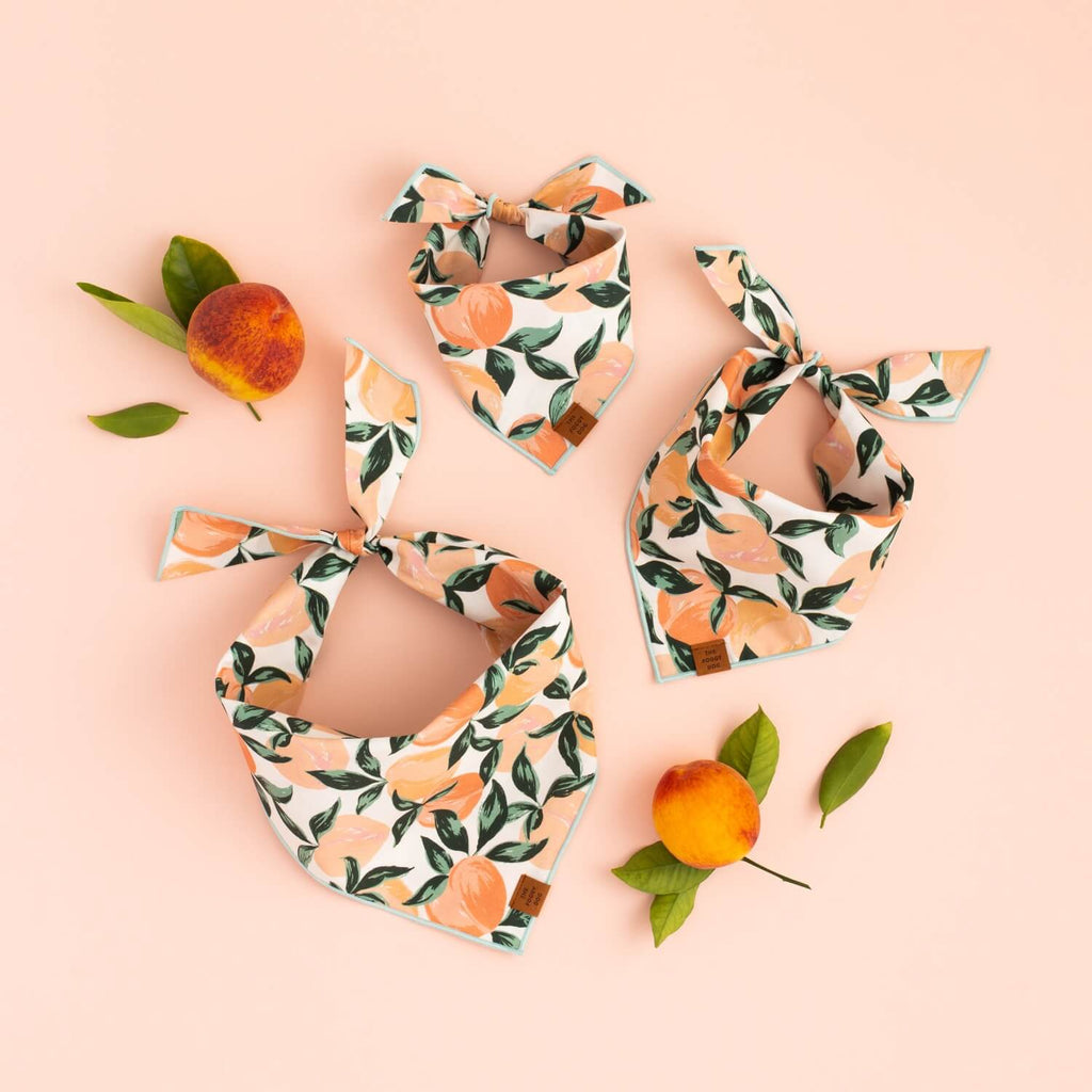 Peaches and Cream Dog Bandana: Small