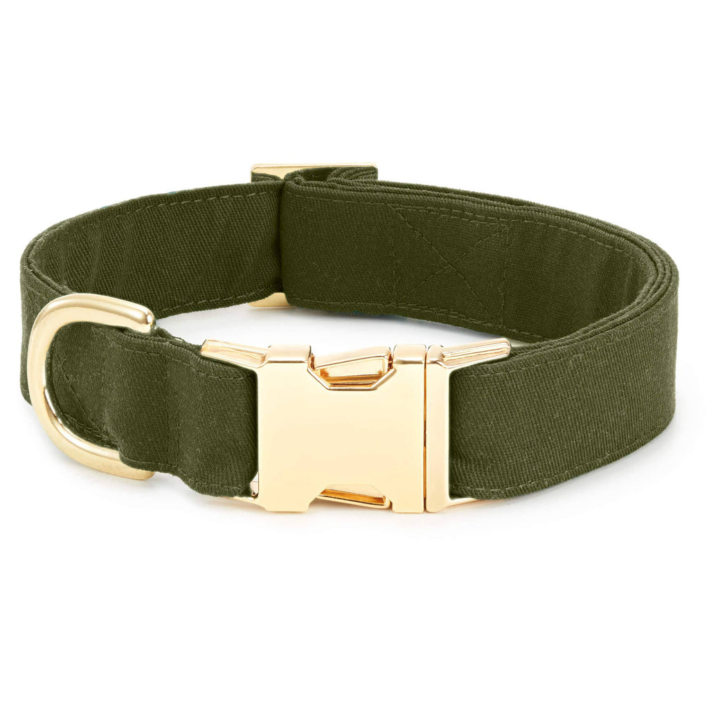 Olive Dog Collar: XS/Gold
