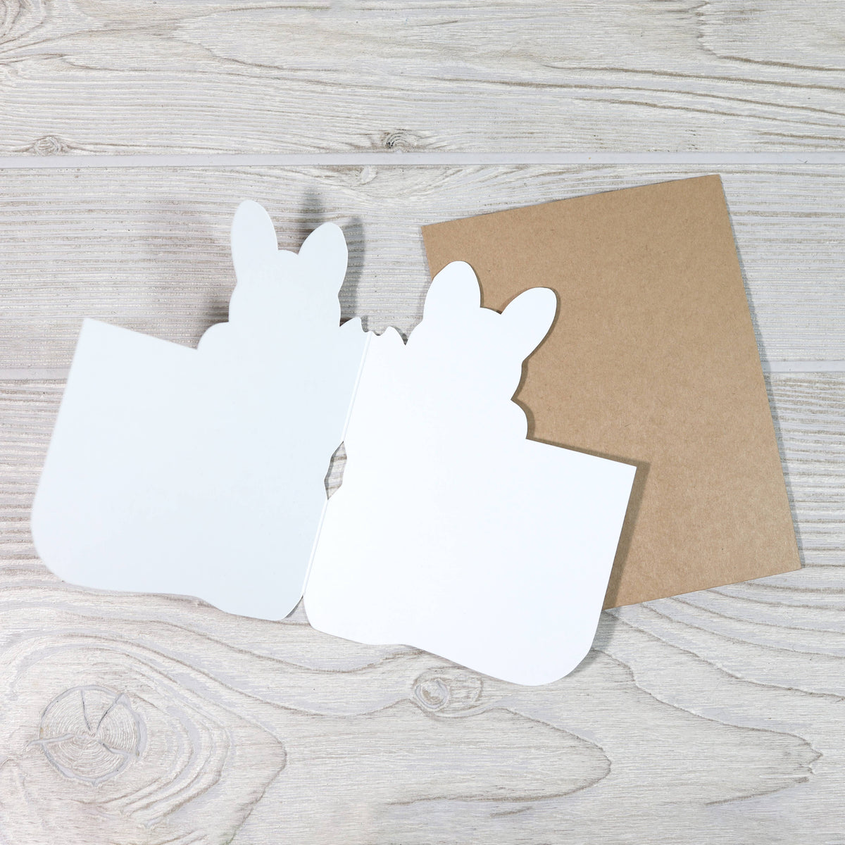 Happy Birthday, Tiny Human! - Funny Greeting Card for Baby
