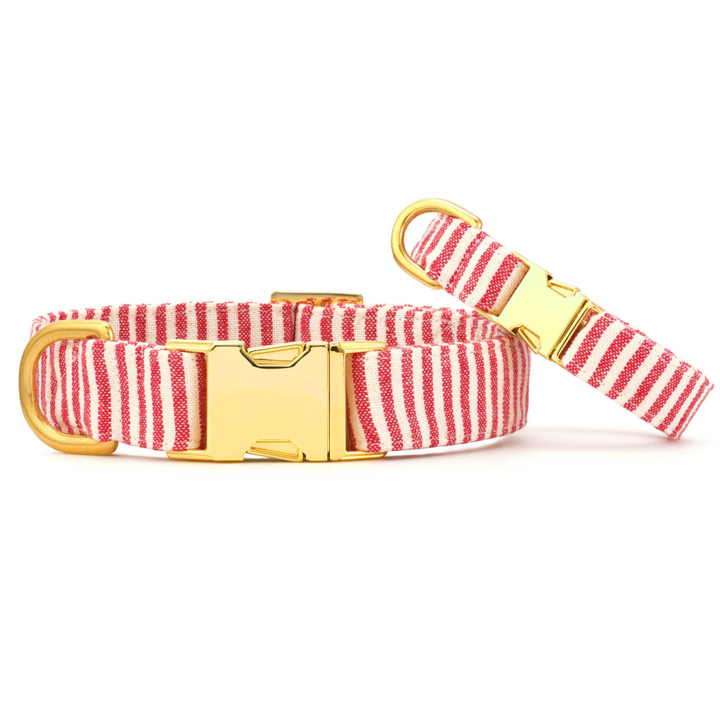 Red Stripe Dog Collar: S / Gold