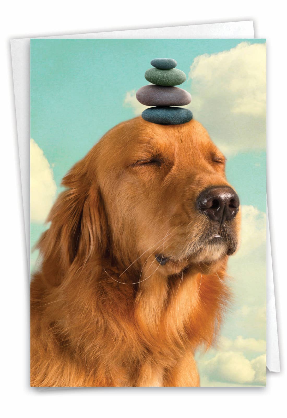 Thinking of You Card - Zen Dog